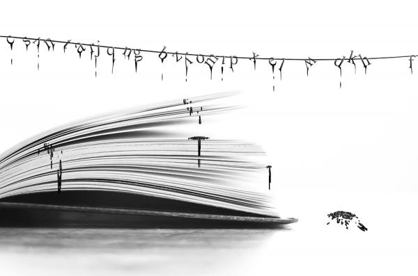 Photograph David Senechal Polydactyle Ink 2 on One Eyeland